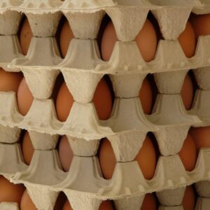 eggs, egg box, food, egg